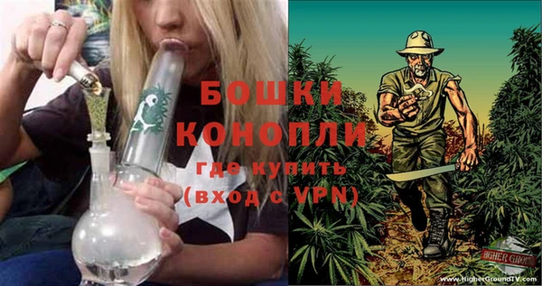 шишки Богородицк